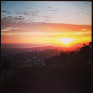 Meet your Posher, Suzanne